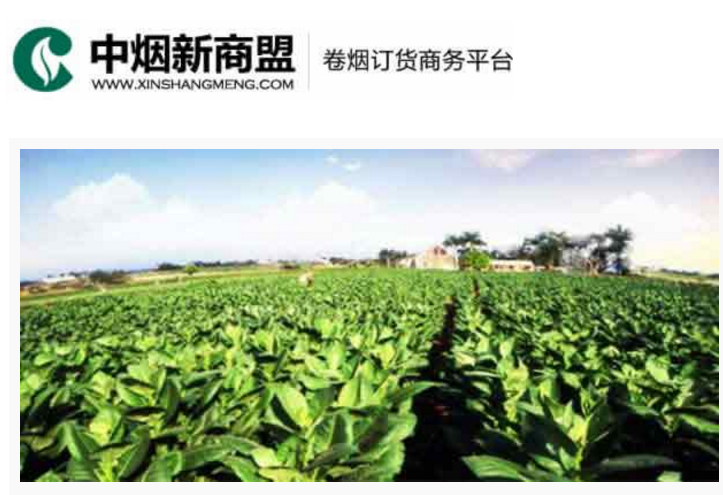 中烟新商盟卷烟订货商务平台-新彩网app官网